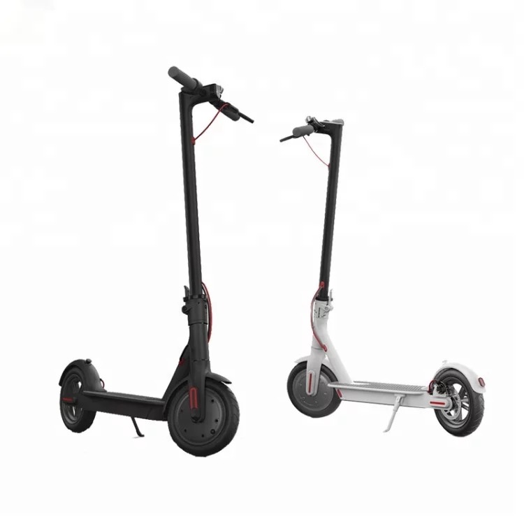 M365  Electric Scooter