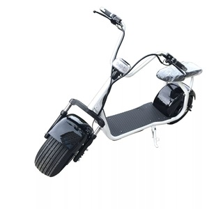 15*6 Inch Fat Tire MInin Citycoco Electric Scooter