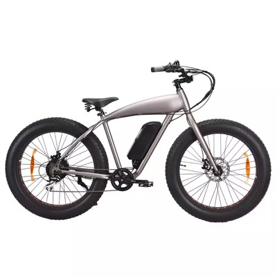 Halley 26 inch snow beach electric bike fat tire