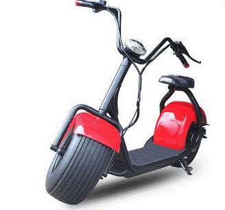 18 Inch Fat Tire 1000W Harley Citycoco Electric Scooter