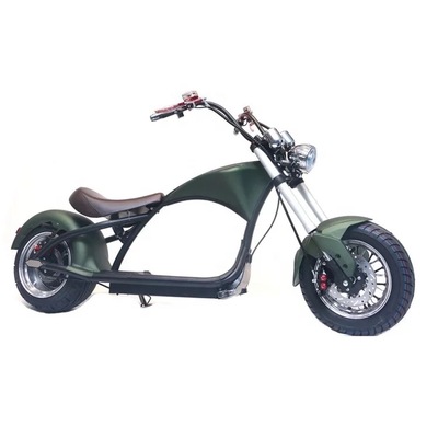 Fashionable Citycoco Electric Scooter